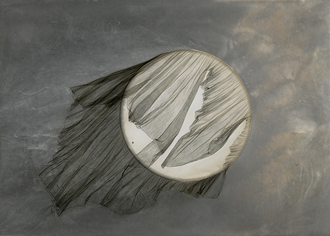 Diario di una stella morente